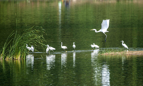 微信截图_20230526102552