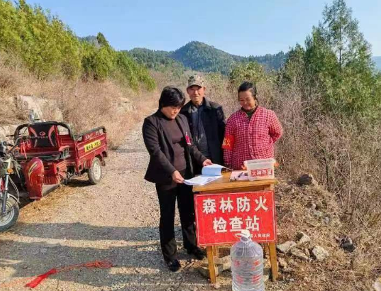 微信截图_20231117064120